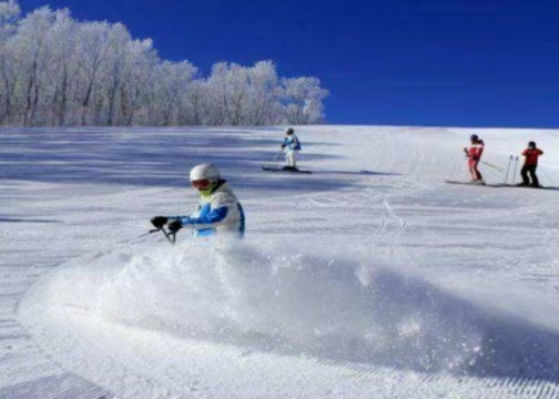 国务院办公厅关于以冰雪运动高质量发展激发冰雪经济活力的若干意见