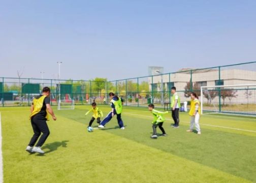 精准破题 系统施策 破解体育发展不平衡不充分问题